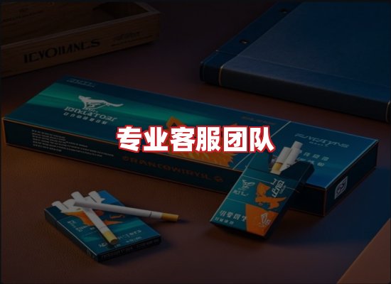 专业团队